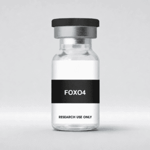 FOXO4